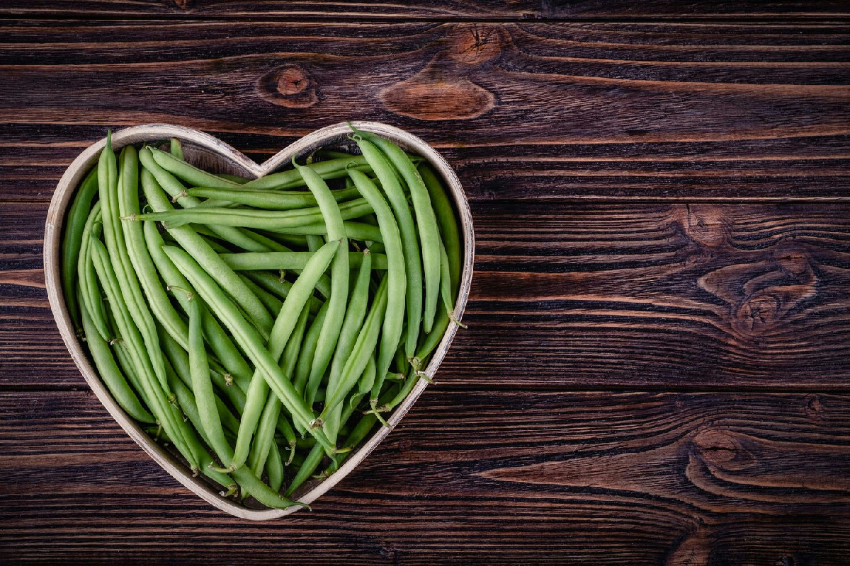Verdure ideali da piantare a dicembre per creare un orto invernale ricco e ben organizzato